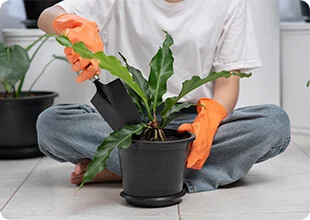 farmer holding pots of different plants