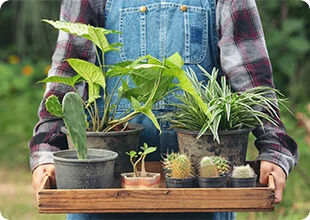 farmer holding pots of different plants